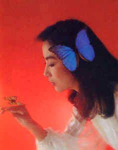 wpe87.jpg (12596 �Ӧ줸��)